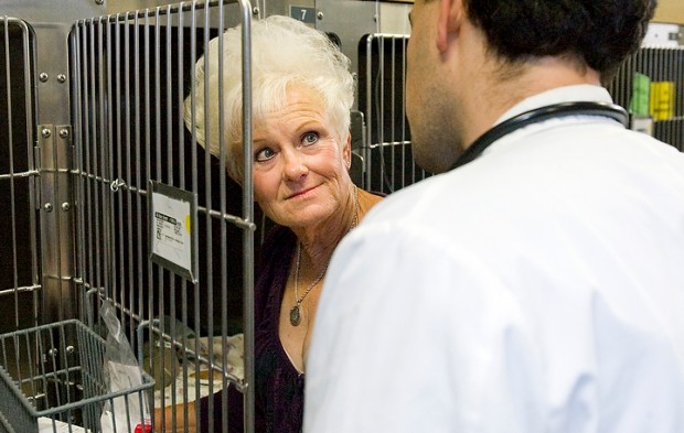 Animal Hospital Expands
